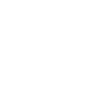 hornor_big_transfer